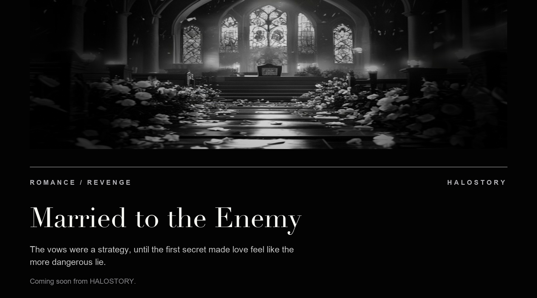 Married to the Enemy story preview poster