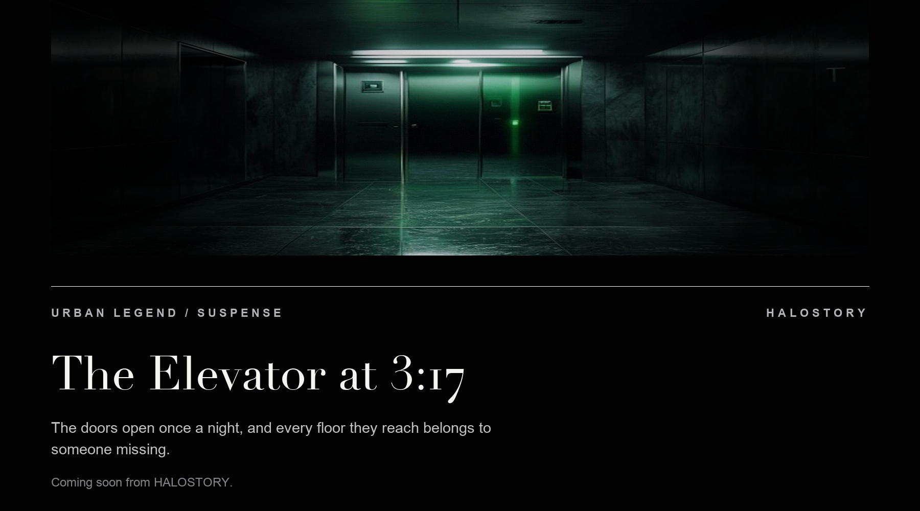 The Elevator at 3:17 story preview poster
