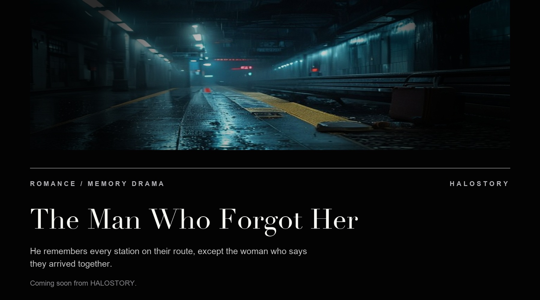 The Man Who Forgot Her story preview poster